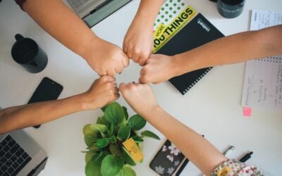 2023 – 2024 Report